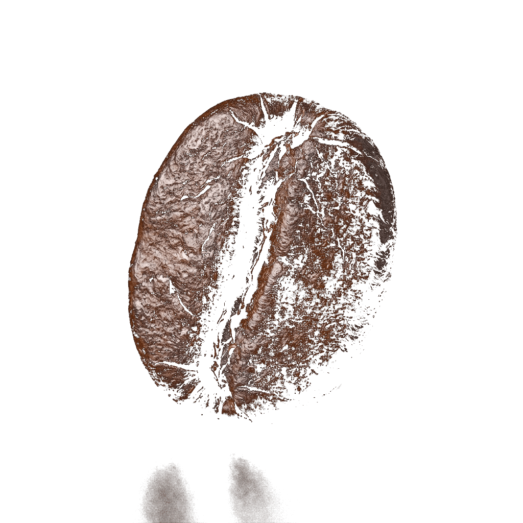 Coffee bean